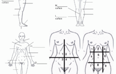 Blank Body Cavities Worksheet Thekidsworksheet