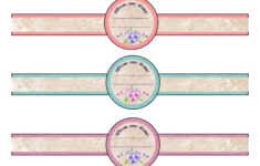 Free Printable Canning Jar Labels Tons Of Designs Colors