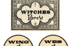Free Printable Halloween Labels Potions The Graphics Fairy