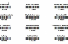 How To Print Individual Barcode Labels For Library Cards Or A Homeroom