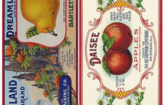 Image Result For Free Printable Vintage Can Labels Vintage Printables