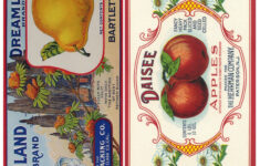 Vintage Labels Printables Vintage Labels Printables Free Vintage Labels