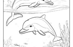 100+ Dolphin Coloring Pages (Free Pdf To Print) | Woo Coloring in Free Printable Coloring Pages of Dolphins