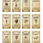 12 X Harry Inspired Potion Labels Regarding Printable Potion Labels Harry Potter