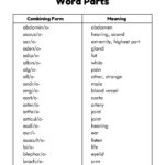 13 Medical Assistant Printable Worksheets In Free Printable Medical Terminology Worksheets