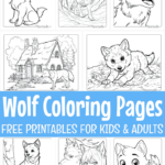 35 Free Wolf Coloring Pages For Adults & Kids (Pdf Printables) In Free Printable Coloring Pages Of Wolves
