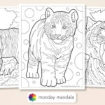 40 Tiger Coloring Pages (Free Pdf Printables) Pertaining To Free Printable Coloring Pages Of Tigers