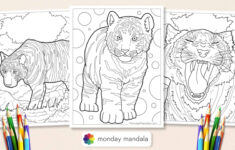 40 Tiger Coloring Pages (Free Pdf Printables) pertaining to Free Printable Coloring Pages of Tigers