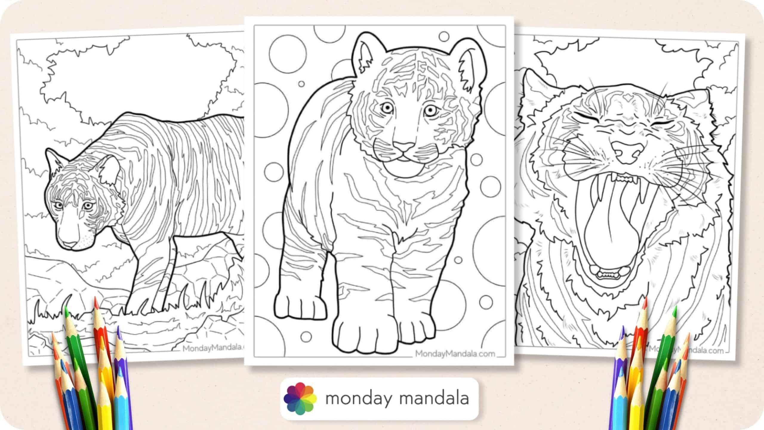 40 Tiger Coloring Pages (Free Pdf Printables) pertaining to Free Printable Coloring Pages of Tigers