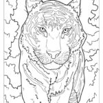 40 Tiger Coloring Pages (Free Pdf Printables) With Free Printable Coloring Pages Of Tigers