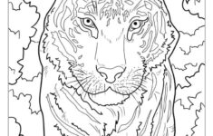 40 Tiger Coloring Pages (Free Pdf Printables) with Free Printable Coloring Pages Of Tigers