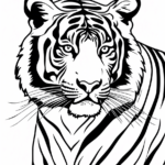 Bengal Tiger Coloring Page Pertaining To Free Printable Coloring Pages Of Tigers