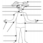 Body Part Worksheet (Boy And Girl) | A To Z Teacher Stuff Within Free Printable Label Body Parts