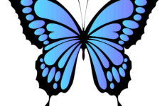 Butterfly Svg Files (Printable Templates, Patterns, &amp; Clipart pertaining to Free Printable Butterfly Pictures To Print