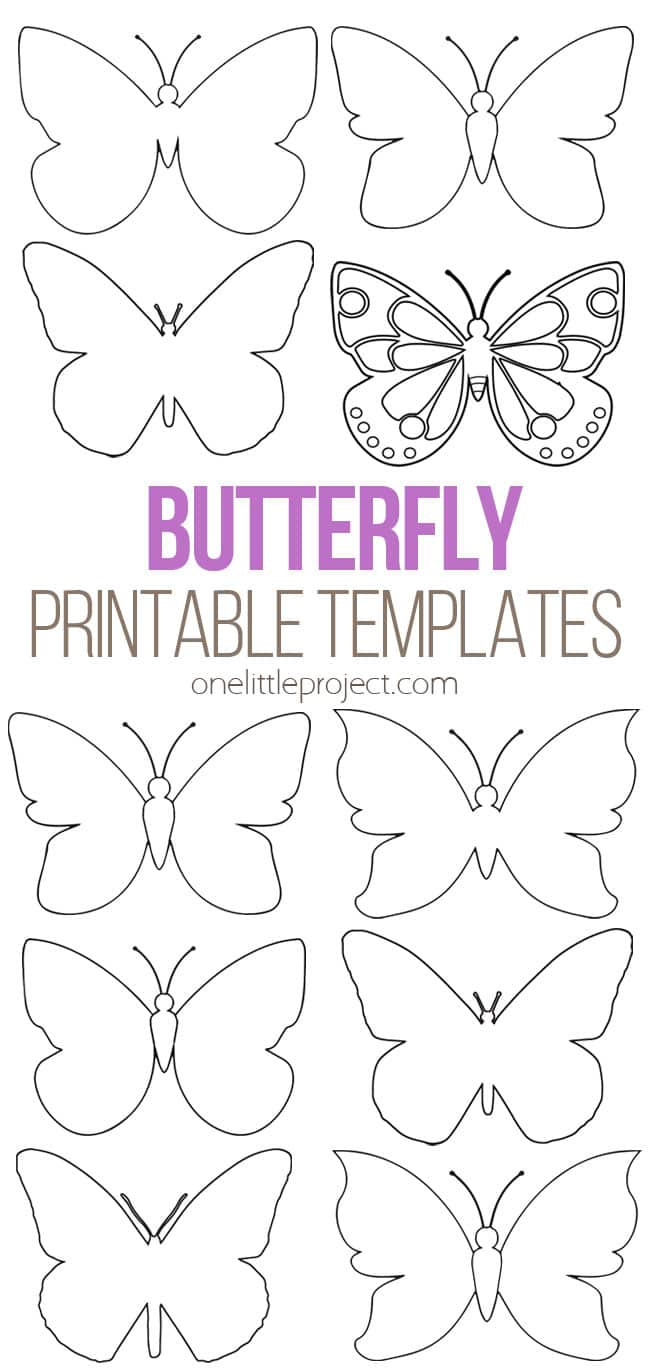 Free Printable 3d Butterfly Template
