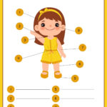 Customize 72+ Body Parts Worksheets Templates Online   Canva Pertaining To Free Printable Label Body Parts