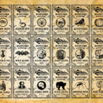Digital Poison Witch Labels Apothecary Potion Labels Digital Download  Bottle Jar Tags Vintage Style Image Clip Art Printable Collage Sheet    Etsy.de In Printable Poison Bottle Labels