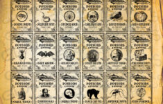 Digital Poison Witch Labels Apothecary Potion Labels Digital Download  Bottle Jar Tags Vintage Style Image Clip Art Printable Collage Sheet -  Etsy.de in Printable Poison Bottle Labels