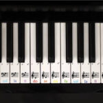 Digital Printable Piano Keyboard Stickers For Beginners, Piano Inside Printable Piano Key Labels
