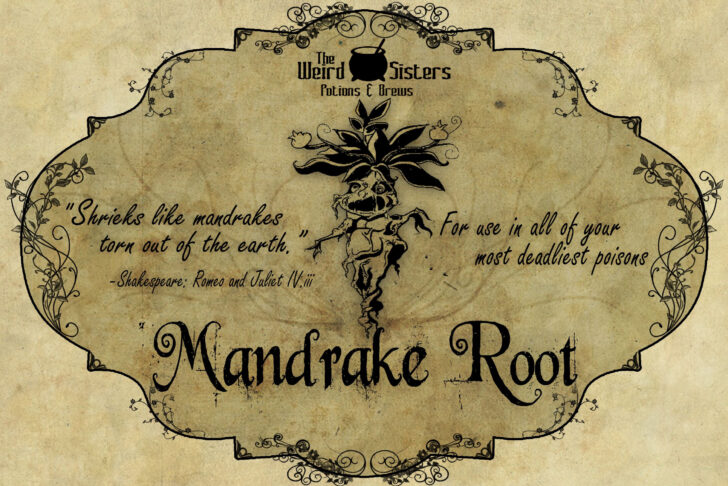 Printable Mandrake Harry Potter Label