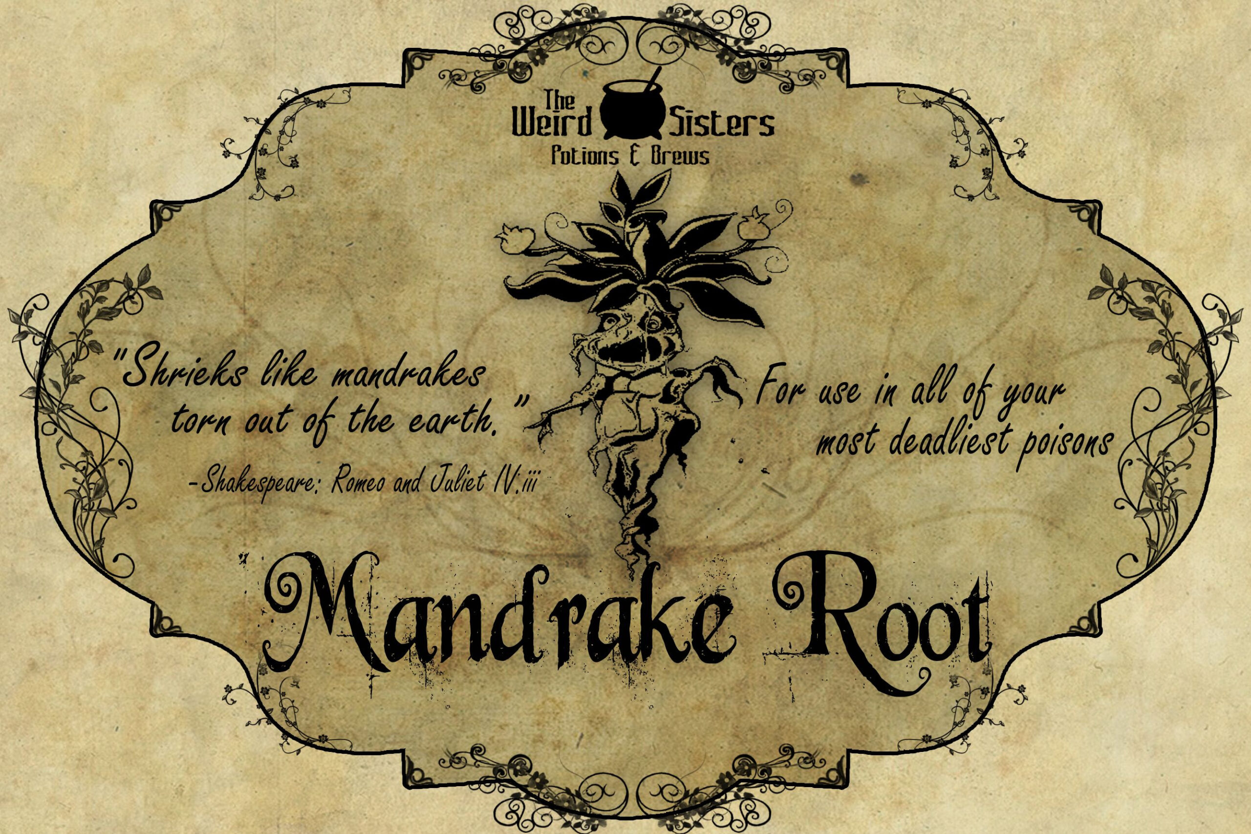 Discover 29 Mandrake Root And Mandrake Ideas On This Pinterest in Printable Mandrake Harry Potter Label