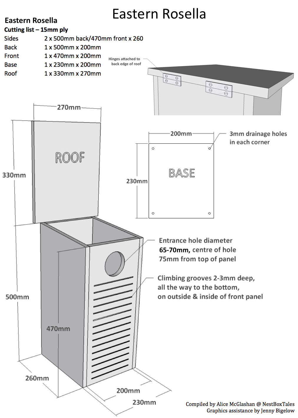 Eastern Rosella – Nest Box Tales inside Macaw Parrot Nest Box Design Template