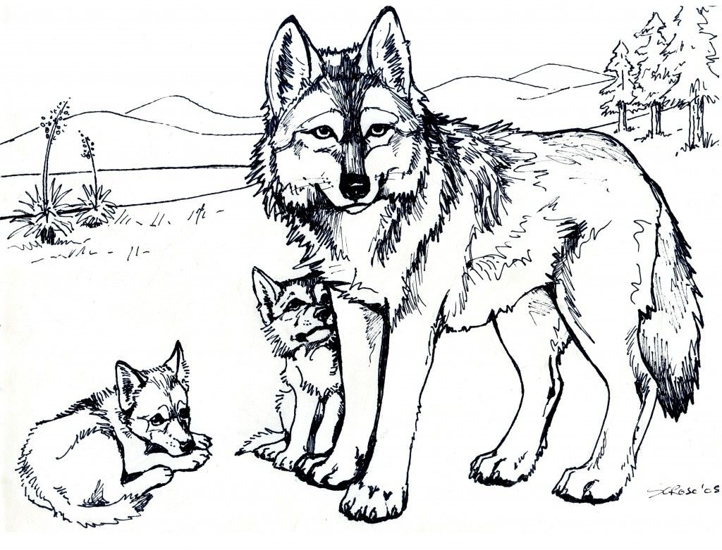 Entdecke 140 Wölfe Ideen Auf Dieser Pinterest-Pinnwand | Wolf intended for Free Printable Coloring Pages of Wolves