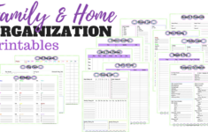 Family And Home Organization Binder Printables | Sew Simple Home intended for Free Printable For Home Management Binder