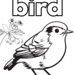 Free Bird Coloring Pages   Crafty Morning Inside Free Printable Pictures Of Birds To Color