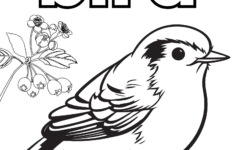 Free Bird Coloring Pages - Crafty Morning inside Free Printable Pictures of Birds to Color