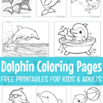 Free Dolphin Coloring Pages For Kids & Adults (Pdf Printables) Within Free Printable Coloring Pages Dolphins