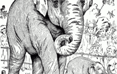 Free Elephant Coloring Pages with Free Printable Elephant Coloring Pages