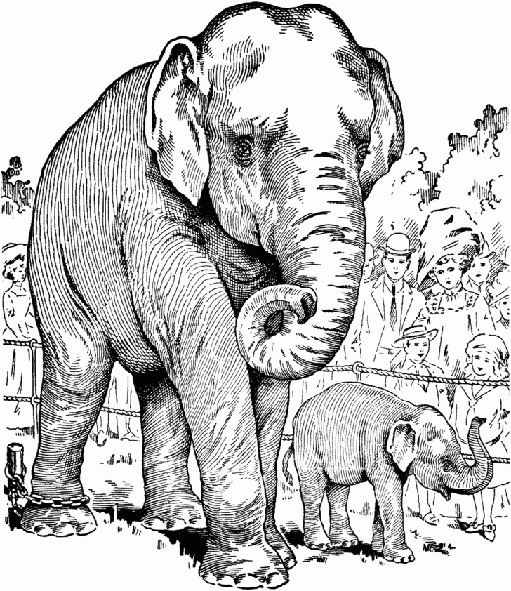 Free Printable Elephant Coloring Pages