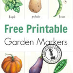Free Printable Watercolour Garden Markers Regarding Free Printable Vegetable Label