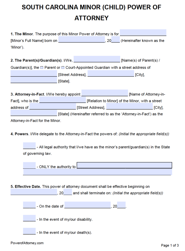 Free Printable Durable Power of Attorney Form South Carolina