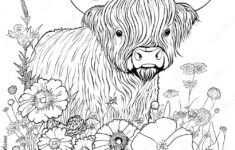 Highland Cow Coloring Pages For Adults Stock Vector | Adobe Stock for Free Printable Highland Cow Coloring Pages