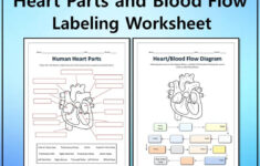 Human Heart Parts And Blood Flow Labeling Worksheets - Diagram inside Heart Diagram To Label Printable