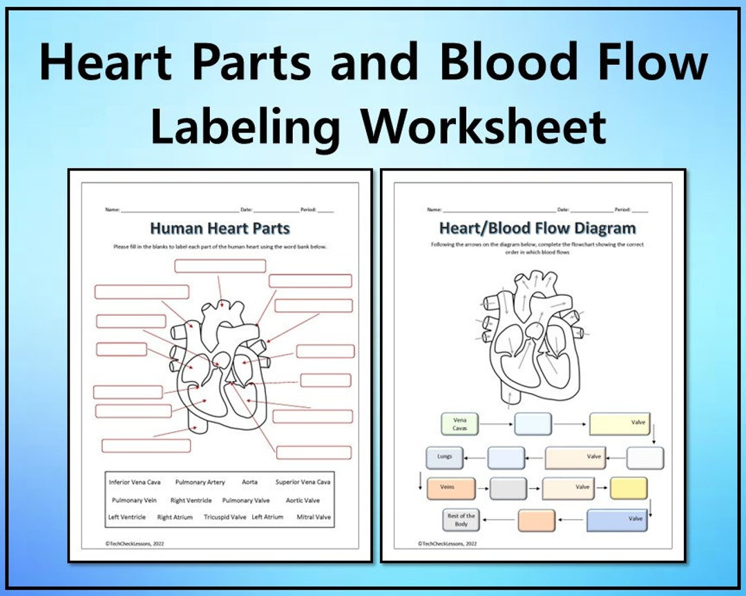 Human Heart Parts And Blood Flow Labeling Worksheets - Diagram inside Heart Diagram To Label Printable
