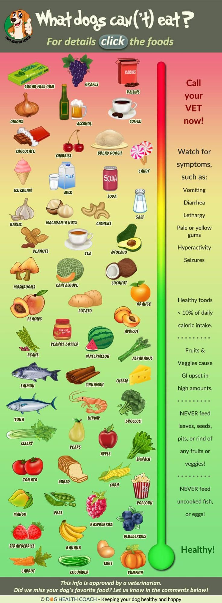 Info Graphic Of 55 Human Foods Dogs Can And Can&amp;#039;T Eat. Vet Approved! in Free Printable List Of Toxic Foods For Dogs