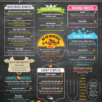 List Of Foods Harmful To Dogs New Arrivals In Free Printable List Of Toxic Foods For Dogs