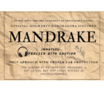 Mandrake Plant Label*Instant Download* 2 Versions Included In Printable Mandrake Harry Potter Label
