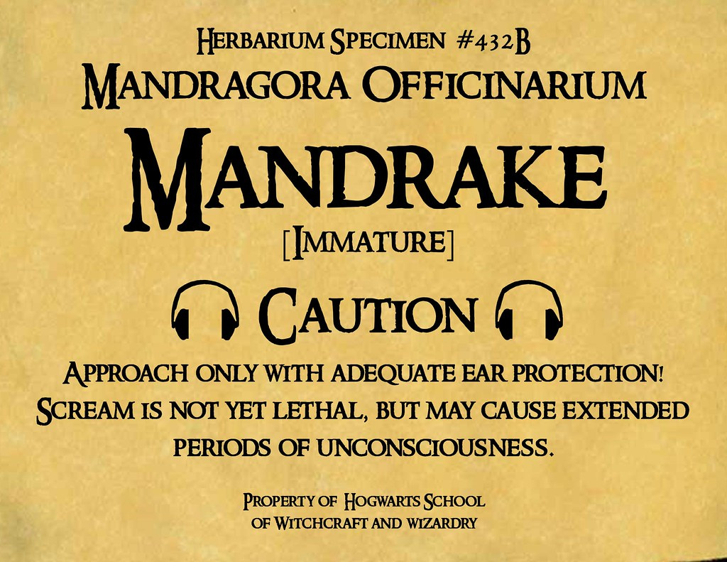 Mandrake Pot Label | This Is The Label I Made For My Daughte… | Flickr pertaining to Printable Mandrake Harry Potter Label