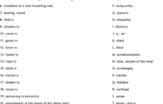 Medical Terminology Worksheet - Wordmint pertaining to Free Printable Medical Terminology Worksheets