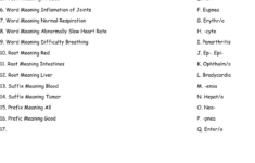 Medical Terms Review Worksheet - Wordmint regarding Free Printable Medical Terminology Worksheets