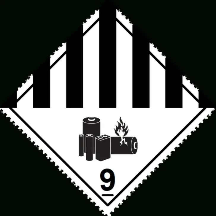 Class 9 Label Printable