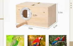 Parrot Cage Wooden Parakeet Nesting Box Acrylic Transparent Bird in Macaw Parrot Nest Box Design Template