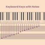 Piano Key Chart In Illustrator, Pdf   Download | Template Within Piano Keys Labeled Printable