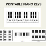 Printable Piano Keys, Music Education, Music Note Value, Music With Piano Keys Labeled Printable