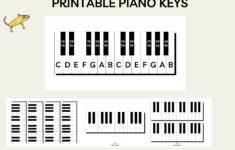 Printable Piano Keys, Music Education, Music Note Value, Music with Piano Keys Labeled Printable