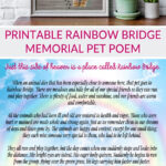 Printable Rainbow Bridge Memorial Pet Poem   For The Love Of Food Inside Free Printable Rainbow Bridge Poem Printable